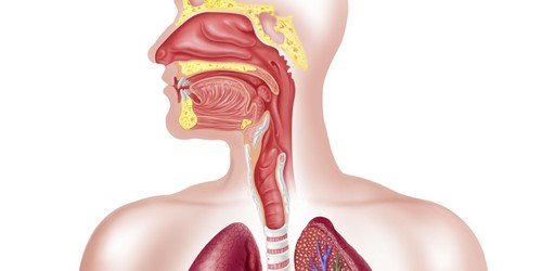 Кандидозный эзофагит