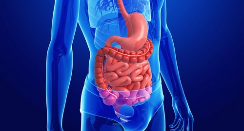 Дуоденo гастральный рефлюкс