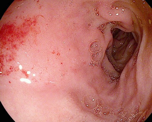 Как выглядит