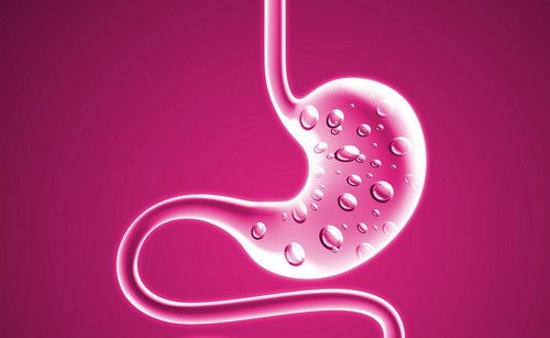 Анатомическое строение пищевода и желудка. Перечень заболеваний вызванных нарушением работы данных органов