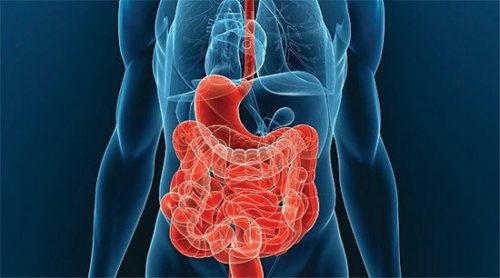 Кровотечение пищевода - причины и симптомы кровотечения