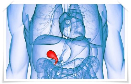 Тюбаж желчного пузыря
