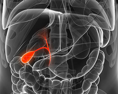 Алкоголь после удаления желчного пузыря