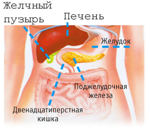 Расположение поджелудочной железы
