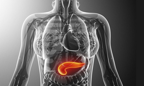 Лечение поджелудочной железы народными средствами