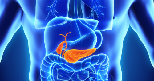 Секреция поджелудочной железы